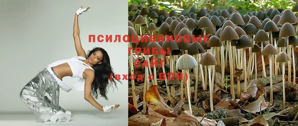 дживик Михайлов