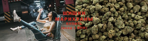 дживик Михайлов