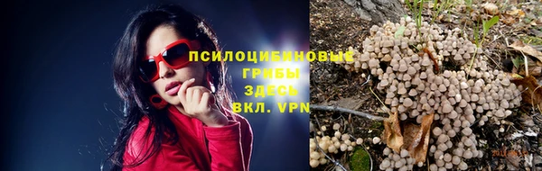 дживик Михайлов