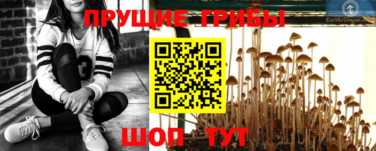 Усть-Лабинск  Галлюциногенные грибы мицелий  Вход с VPN  Галлюциногенные грибы Psilocybe 