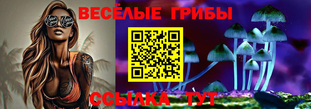 Псилоцибиновые грибы Psilocybe Усть-Лабинск